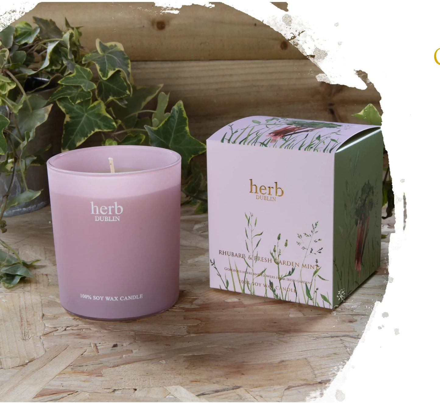 Rhubarb and fresh garden mint- Jar candle.