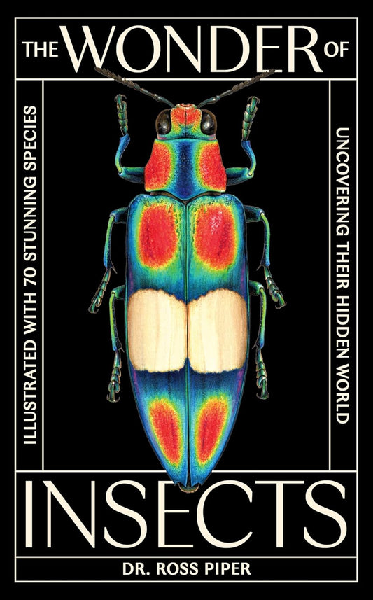 The Wonder of Insects: Uncovering their Hidden World