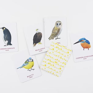 Match a Pair of Birds