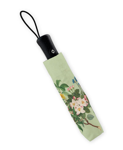 Folding umbrella: Botanical Treasures