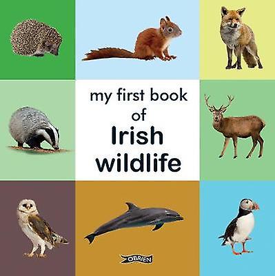 My First Book of Irish Wildlife