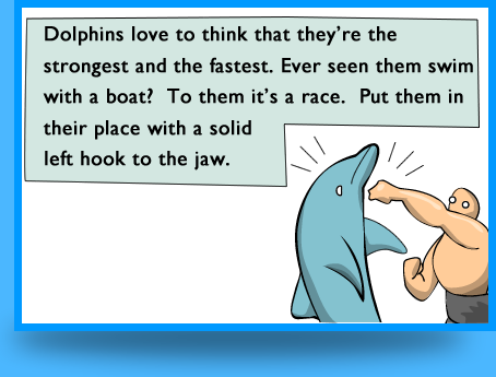 5 Very Good Reasons to Punch a Dolphin in the Mouth