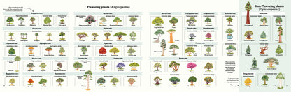 Around the World in 80 Trees