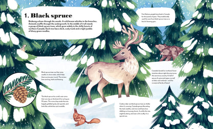 Around the World in 80 Trees