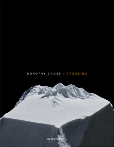 Dorothy Cross - Crossing