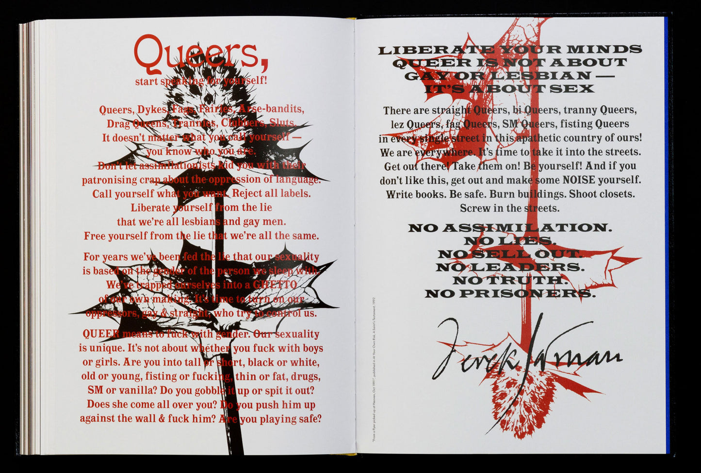 Derek Jarman PROTEST!