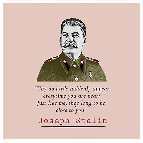 Stalin Quote Card- Why do Birds Suddenly Appear...