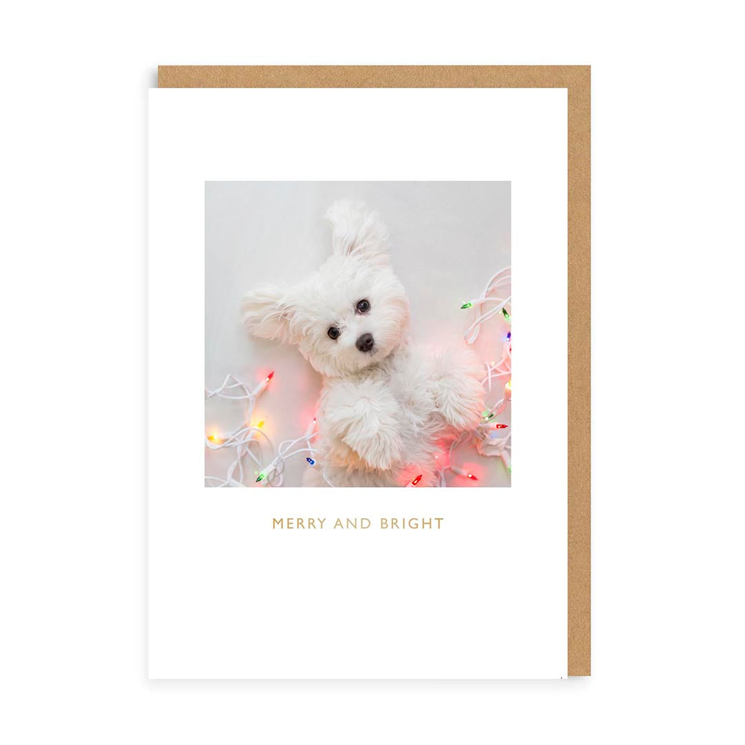 Christmas Puppy Greeting Card