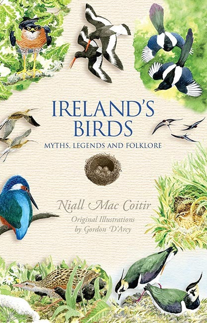 Ireland's Birds