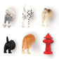 Dog Butt Magnets