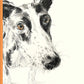 Book of Dog Poems