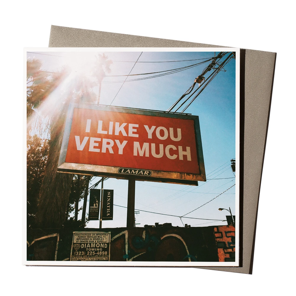 I Like You Very Much