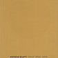 Patrick Scott: Image Space Light