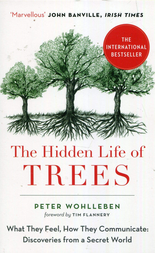 The Hidden Life of Trees