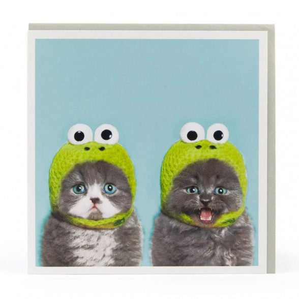 Cat Frog Greeting Card